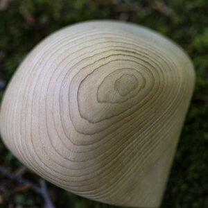Piedras de madera